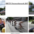 2017 Collage-BWTV-Fotosommer2017