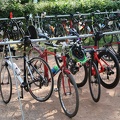 BreisgauTriathlon2023 0279 web