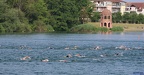 FreiburgTriathlon2023 0561 klein